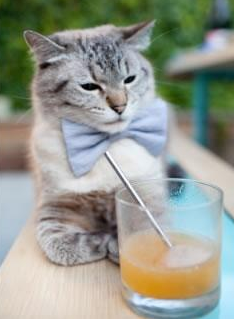 绿茵与硬木的交汇，广厦火力重构长三角德比焦点