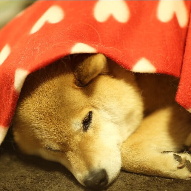 特洛伊木马潜入诺坎普,赖斯化身关键先生破解巴萨神话