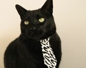 风从乌拉圭河吹向好望角，一场关于带走的地球游戏