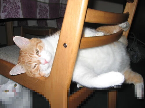 赛场封锁，当格列兹曼用一记法国口音的传球撕开铁幕