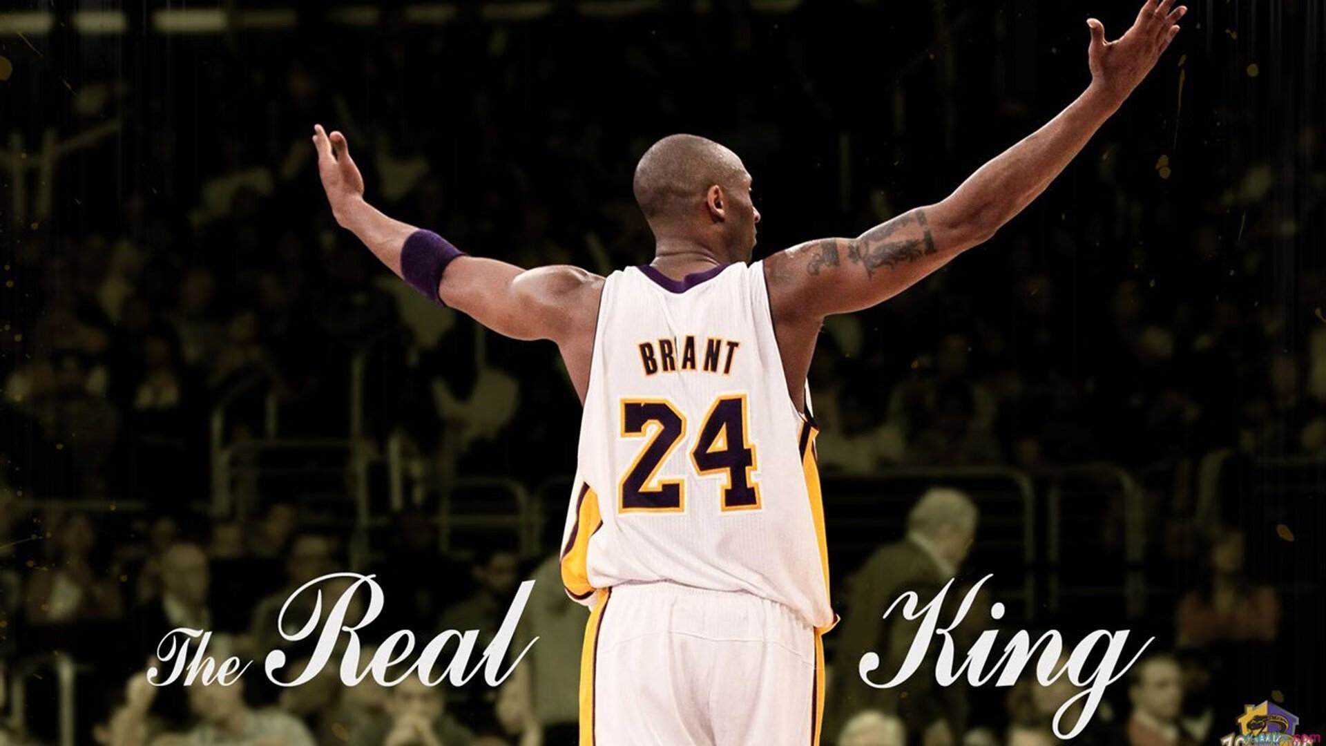 爱游戏入口-当约基奇身披铠甲，骑士踏平魔术之夜，NBA魔君降临中世纪