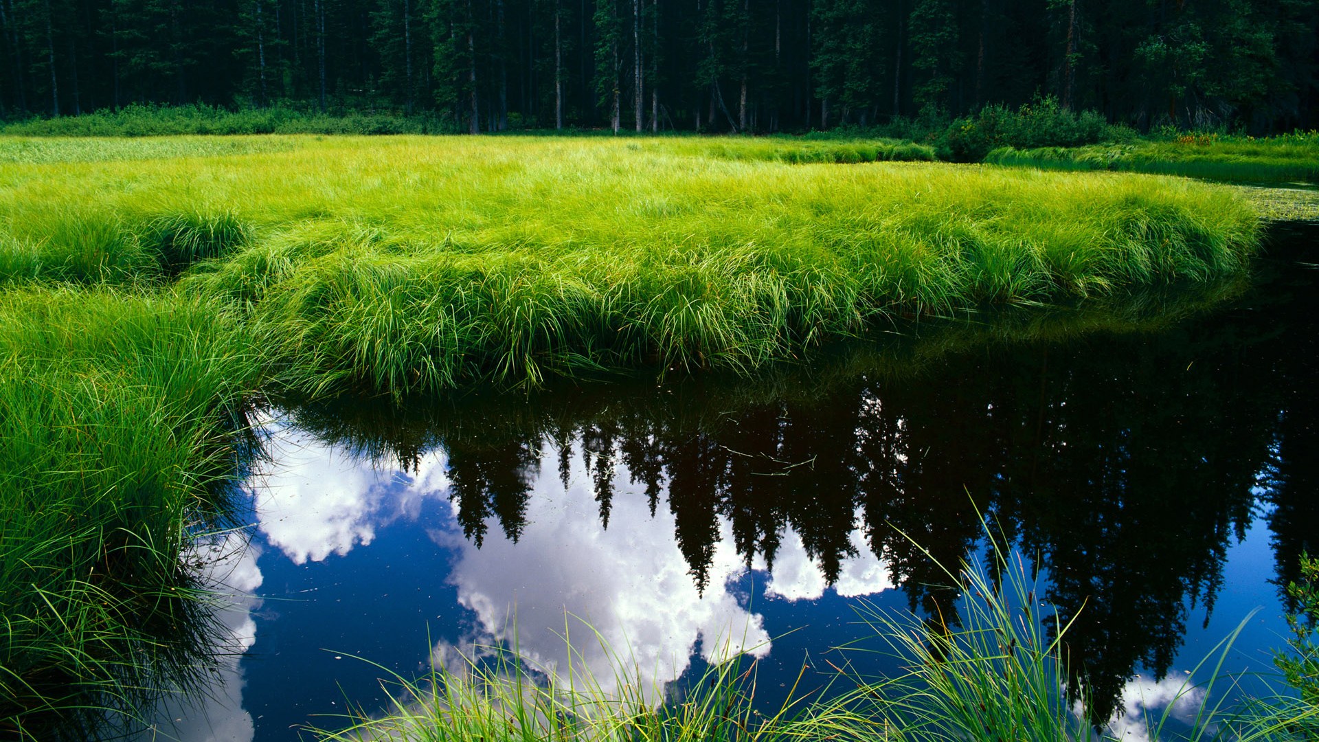 当圣西罗遇见五环,一场意甲焦点战与吉林爆冷的隔空对话