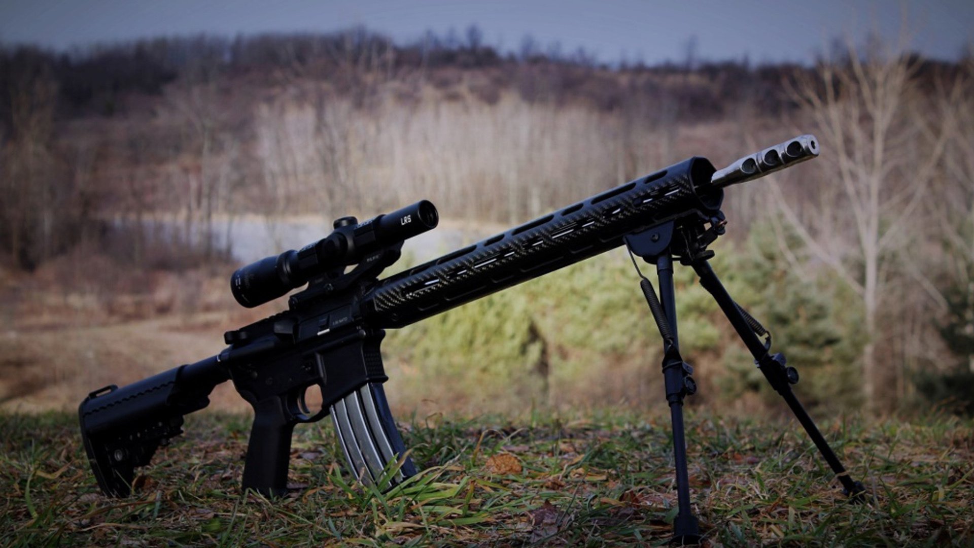 飞羽与利爪，当个体意志碾过团队之名