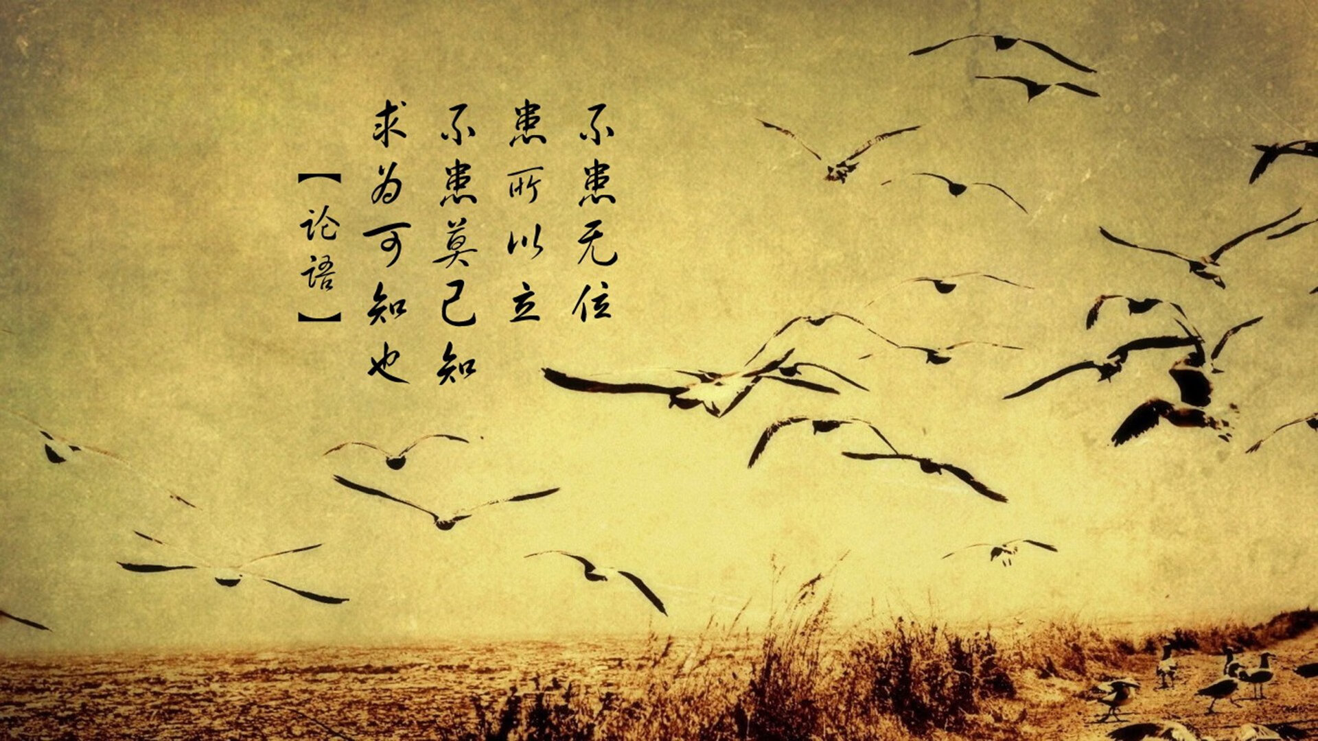 唯一之役，当莱万的神迹照亮C组暗夜，匈牙利与喀麦隆的生死战再无来者