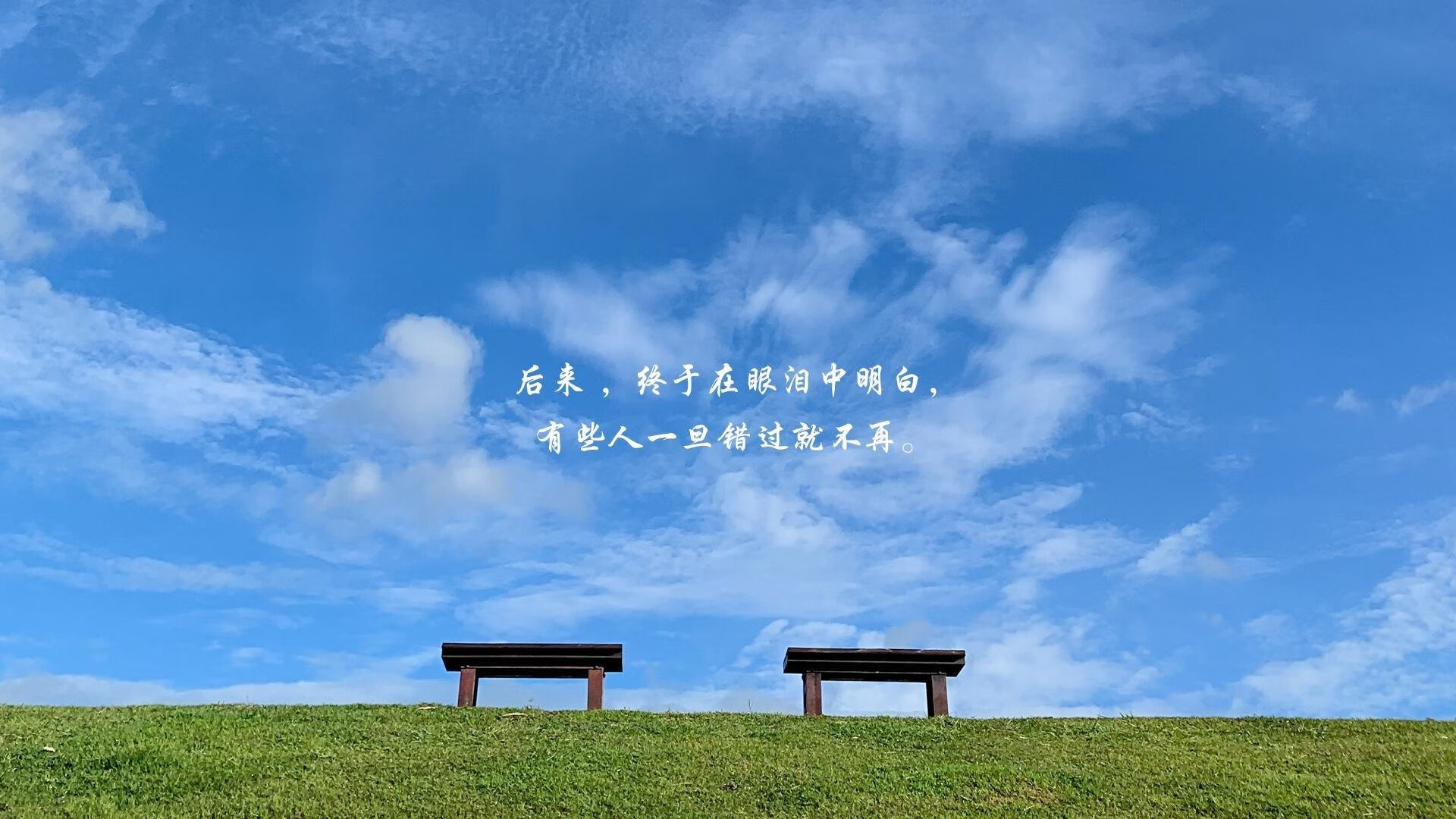 三笘薰的孤勇与波斯铁骑的怒吼,2026世界杯B组焦点战,伊朗如何以非典型胜利击碎波兰