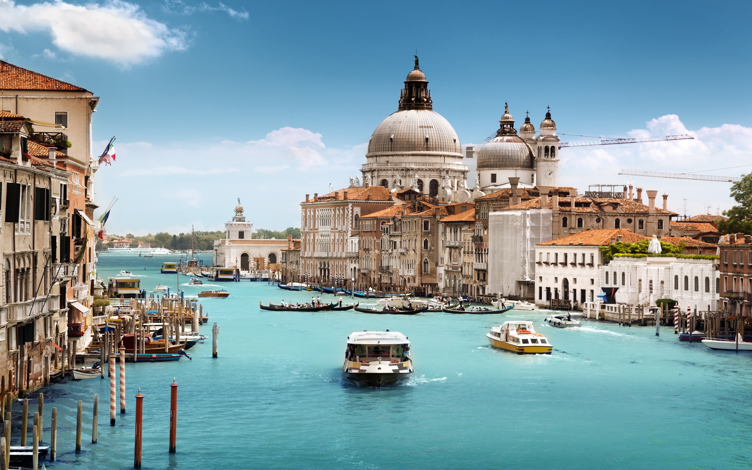 E组唯一法则,波兰完胜泰国背后的秩序重构,登贝莱照亮2026世界杯的另类光芒