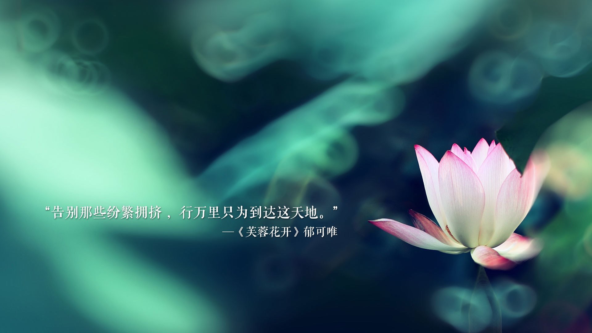 爱游戏下载-铁血之师的唯一正名，2026世界杯A组焦点战，罗马尼亚如何以强硬对抗击碎哥伦比亚，C罗不老神话主导命运