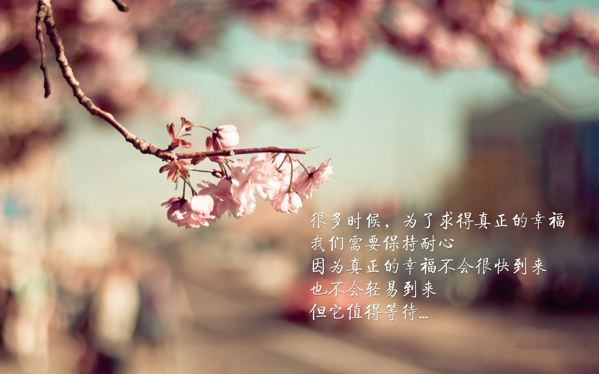 星光与暗影,2026世界杯H组,巴西的狂飙与齐耶赫的孤勇